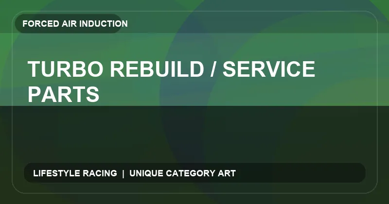 Turbo Rebuild / Service Parts